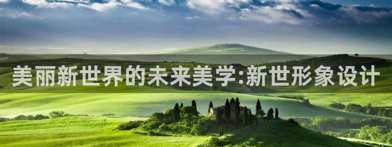 火狼影院动漫在线观看：美丽新世界的未来美学:新世形象设计