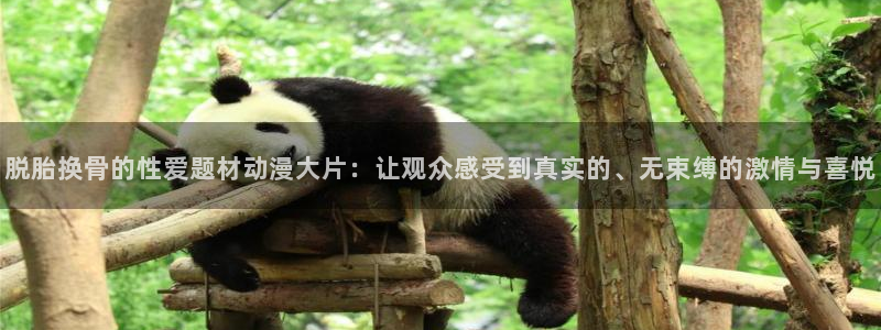 ova火狼动漫网：脱胎换骨的性爱题材动漫大片：让观众感受到真实的、无束缚的激情与喜悦